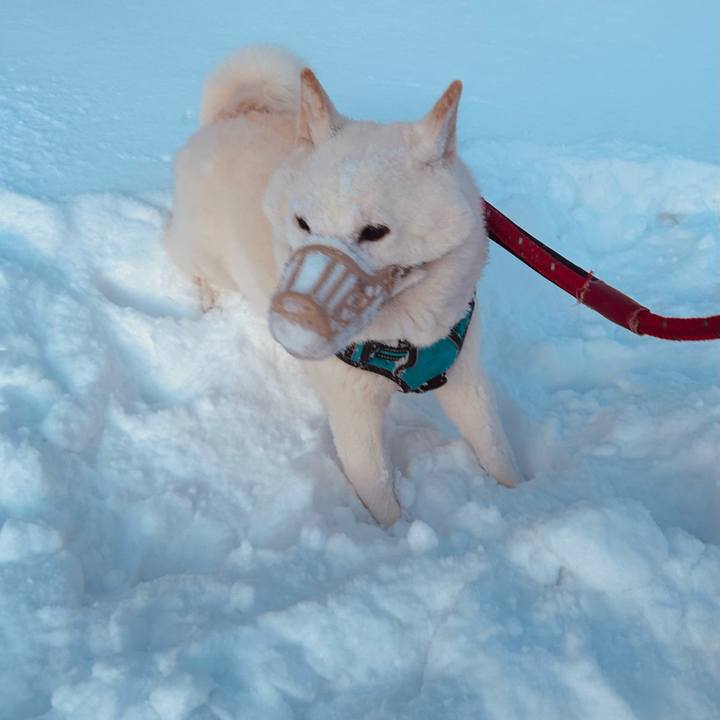 5735b0a7 0bf7 4bd1 b664 9a57259bb807 1734732866022