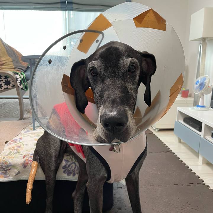 5735bd15 ca3c 497c 81fe 37b0161db69c 1634768539879