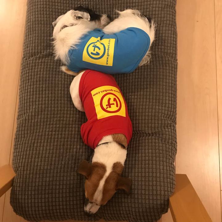 5735ca07 3634 4e41 8c70 81d7d2b0a098 1543239769051