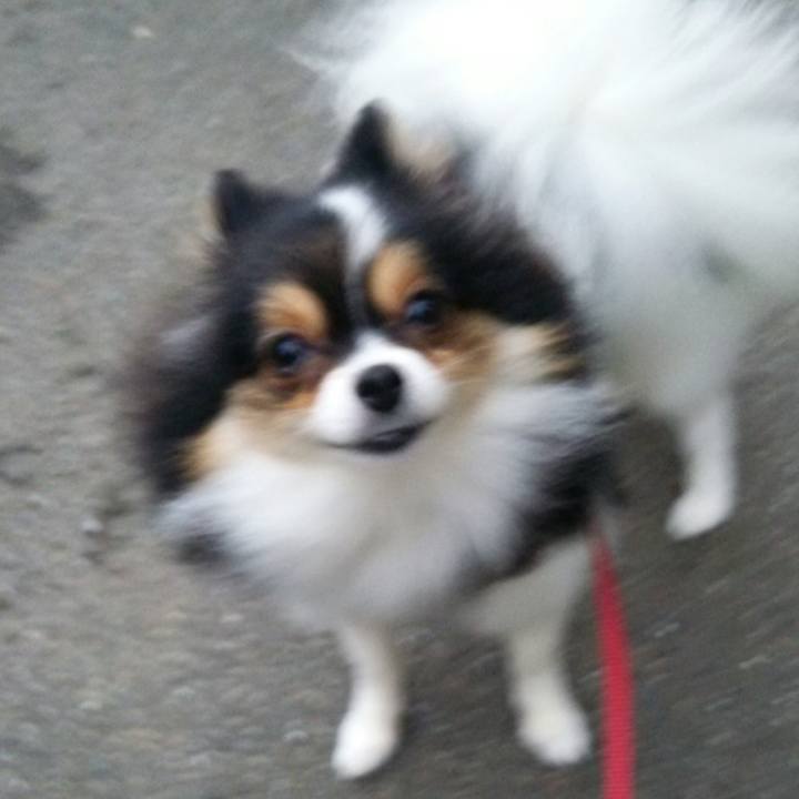 5735cc85 2d27 4c0e bc96 98ea4e69f54b 1508490636124