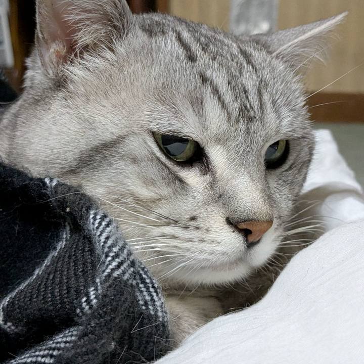 5735e458 2e58 4815 a2bb bea0609a21e3 1770392401273