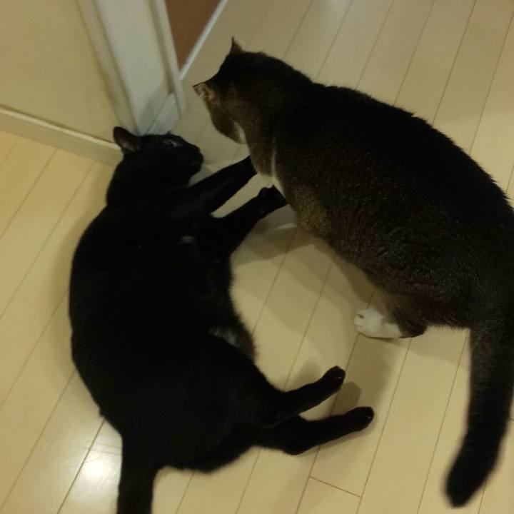 5735ea7d fba5 4cec 9c03 ad7ea8ce72d8 1731450741016