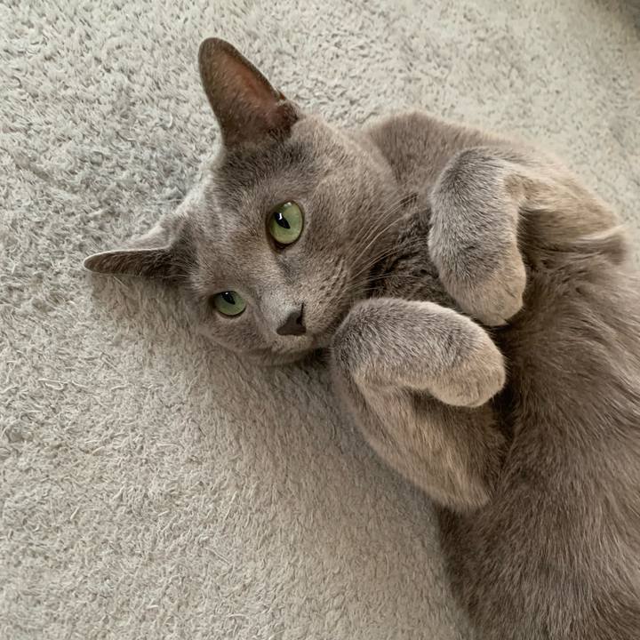 573633b4 317a 4231 a650 18b418cba94f 1651797034611