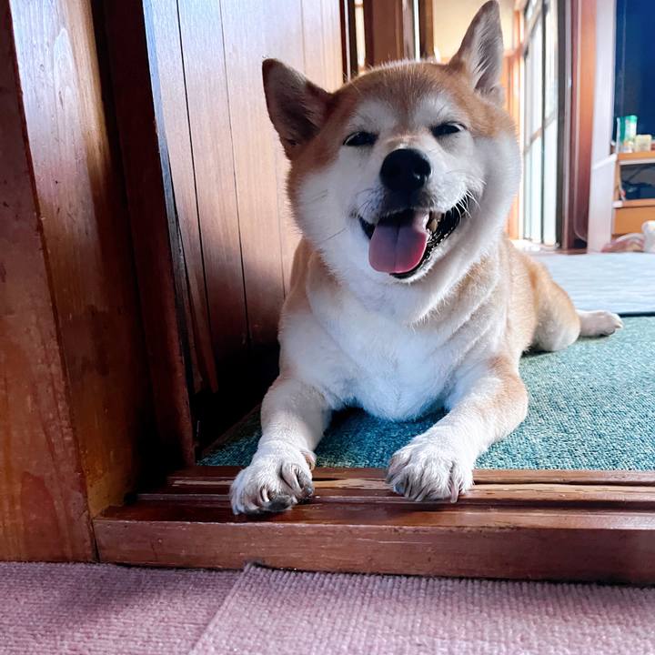 5736440d e7cd 4196 8f54 7cafdbe8c697 1720567398043