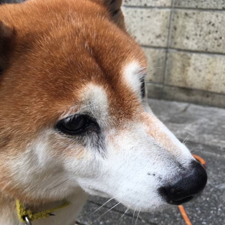 5736464e 5d3b 49a6 9317 2c84f9e397d7 1507939731975