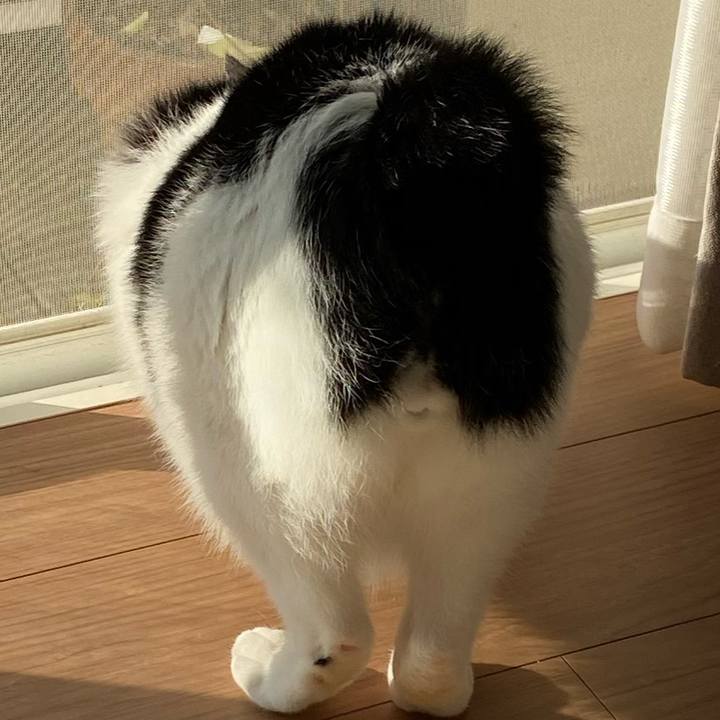 57365676 0560 418e 9f9f 7fb00e399a1e 1587038332240