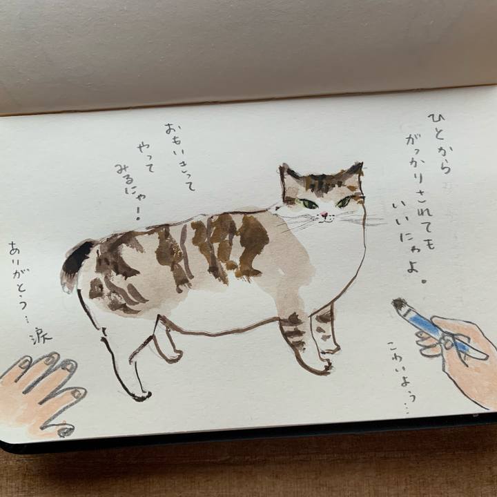 573668f0 728d 4637 ae66 8e426b66f6fe 1650268612836