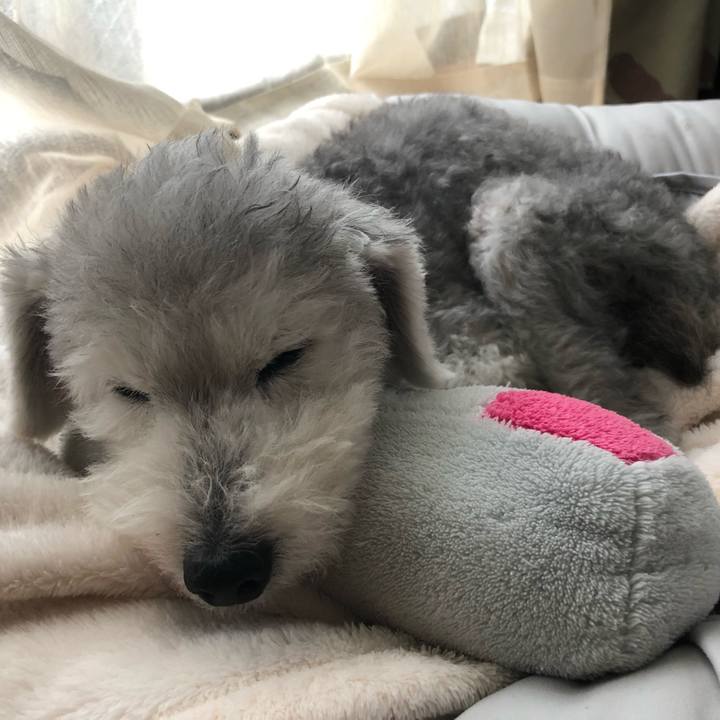 57366bab 0349 494f 9d7f d14824d99326 1660360059775