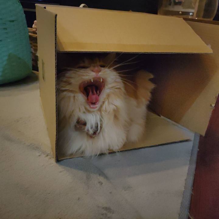 57367a08 8ca4 4a8e b2d7 83cda7f08686 1681558046134