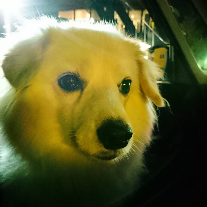 57368f6e b4e1 4f16 b055 0bc211e8827c 1539511455405