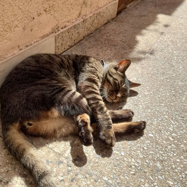 57369724 5811 4f10 9b5e bcc61f661bd8 1757934750692