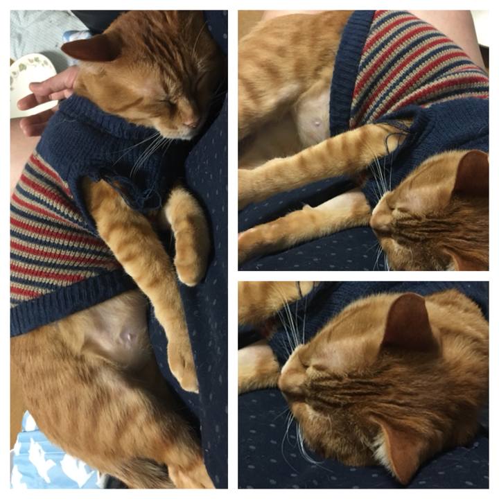 5736a44b a058 481d 9781 ae160a0cab4d 1544012196344