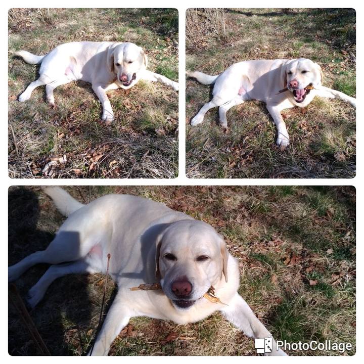 5736afb5 dde7 4669 a9c3 24eb301ffa0a 1620034738417