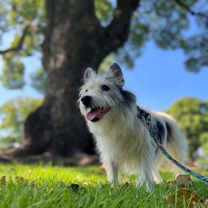 5736d8d7 036d 4eb2 a0fb dbe17316dbfc 1664103843826