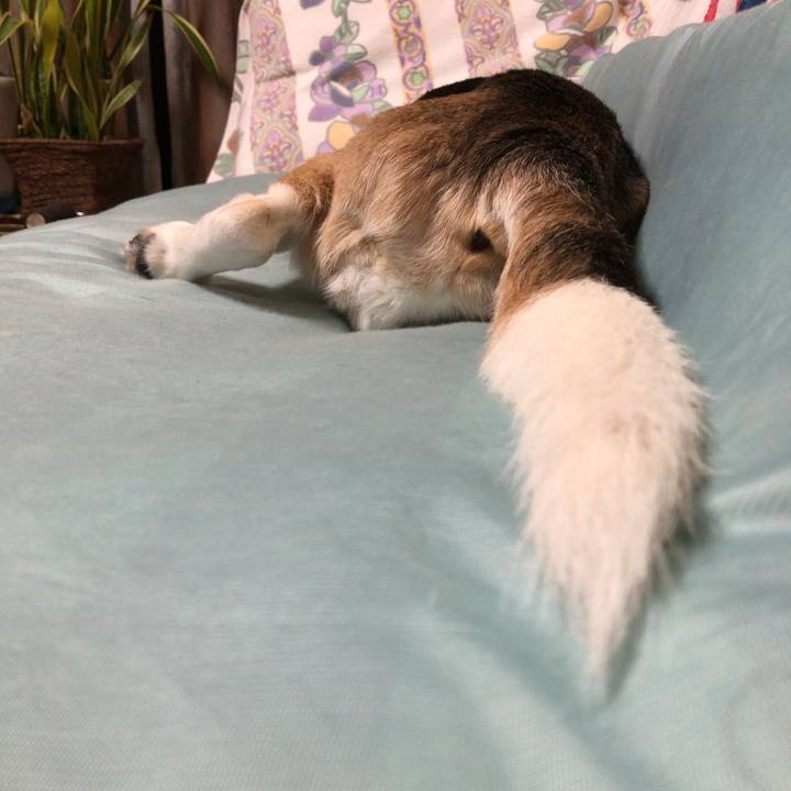 5737184f 07fb 459b 90c1 d128c42f1994 1591183998277