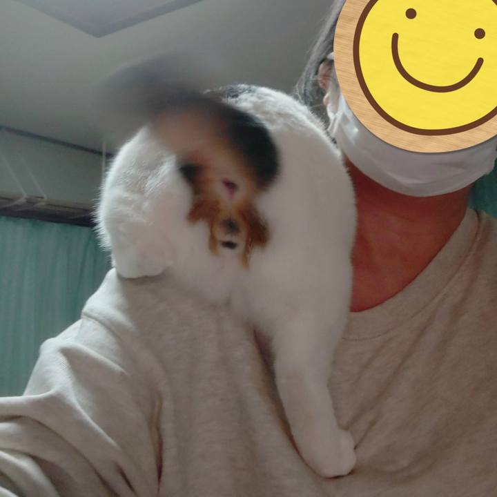 57373a98 fdca 4c5e 96f2 ae88f4565692 1735390831681