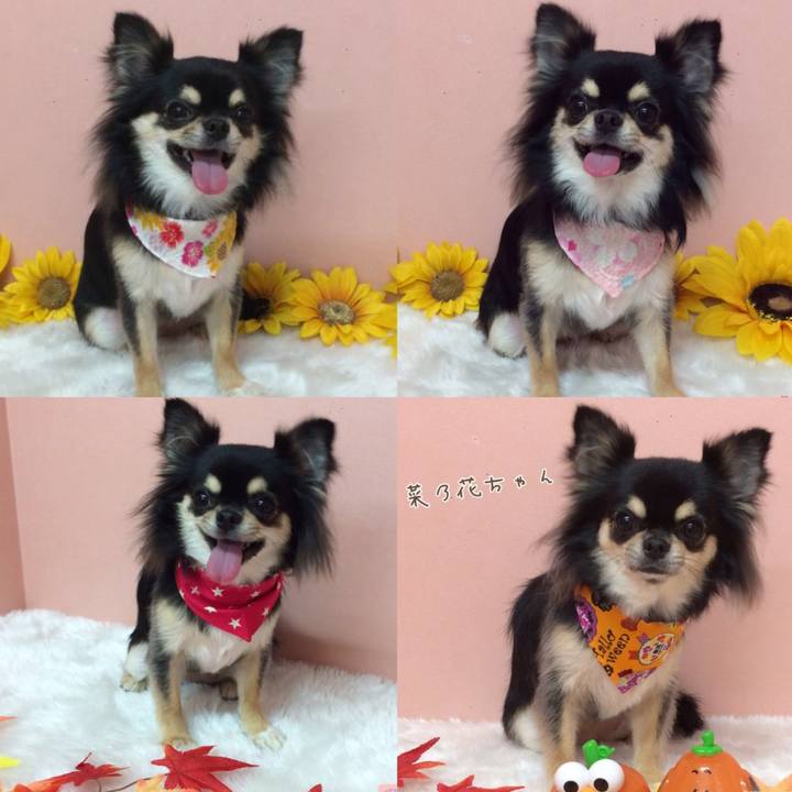 5737aeb0 76a1 49b9 b1b2 0001931dd99e 1571870159953