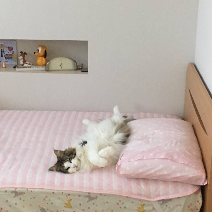 5737d7e7 216e 43e7 af0a 1cbcbd911385 1559428895247