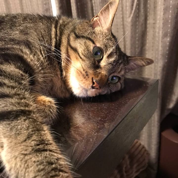 5738015b 3381 4532 89fa 5f92f5ae62cc 1669897015573