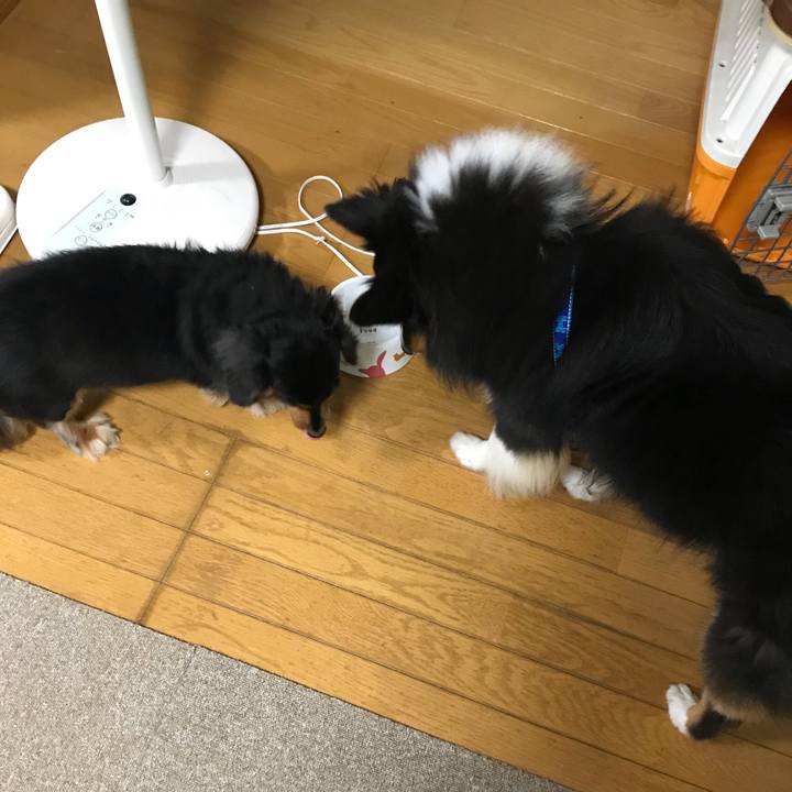 57381e94 7f62 4bac a76e 8766383863d6 1537566984205