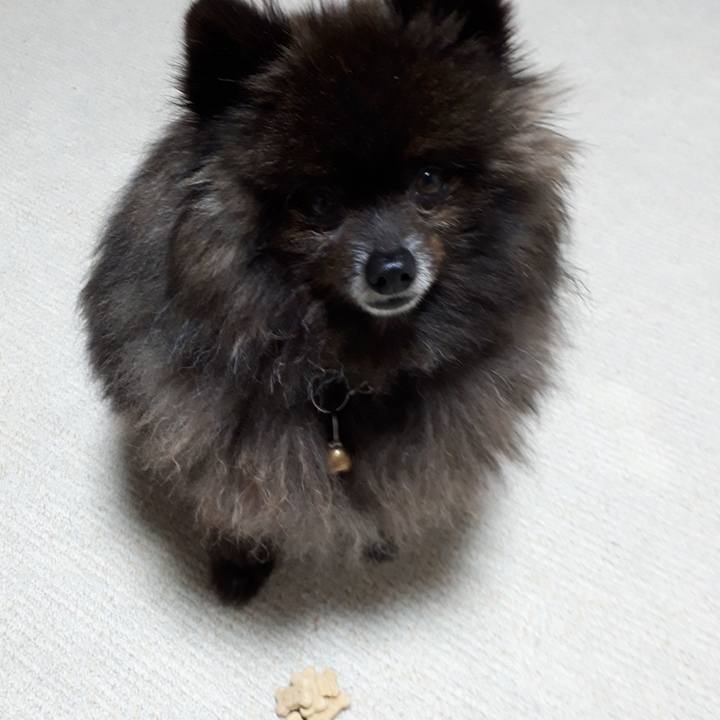 57385bcb 467d 472d a2da 7cdde7a0fa59 1521924116024