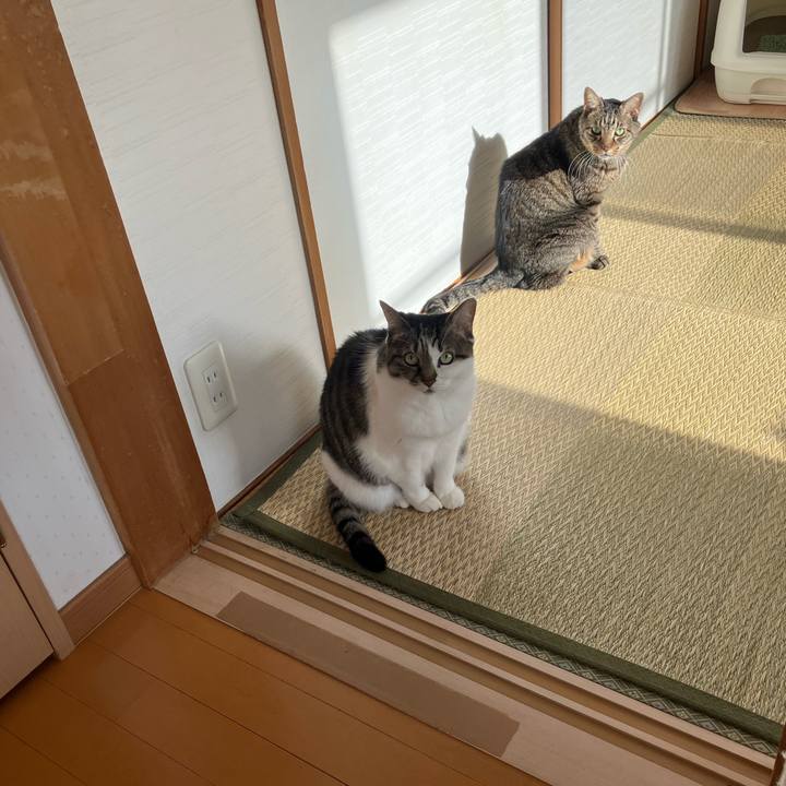 573884d5 c86e 4de0 9de6 204ebb9bd2ff 1766367885303