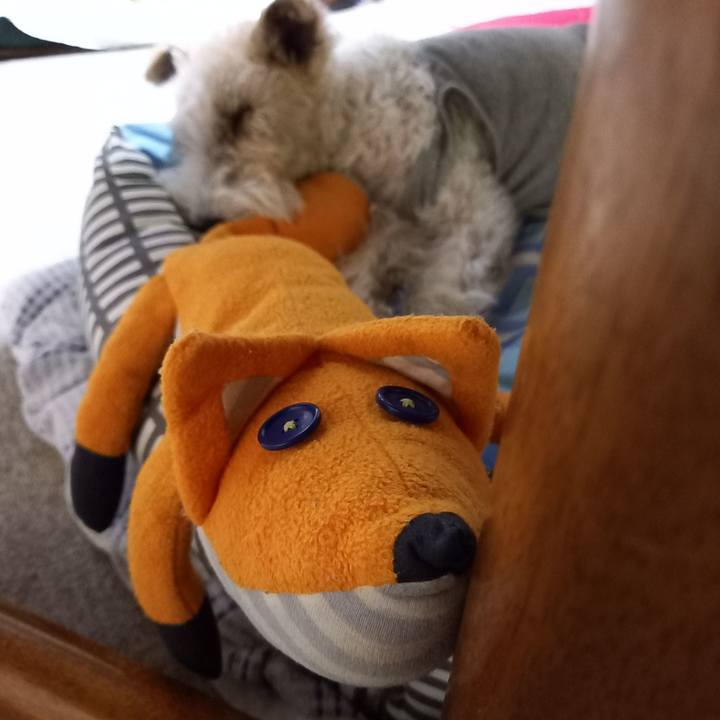 5738877a 8876 4341 8126 e2579f331415 1620566703451