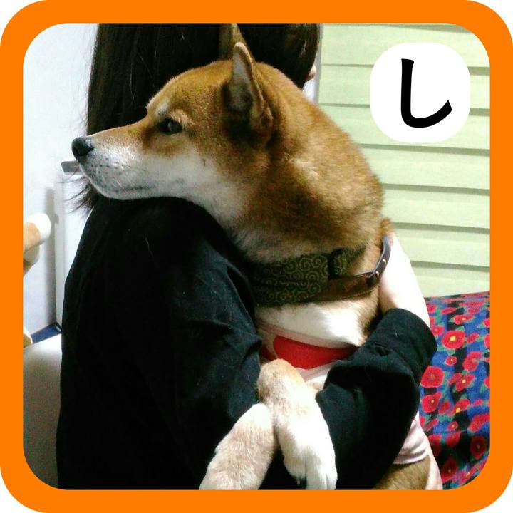 57389140 90fb 4887 90b0 8bff17601d7c 1514898608944