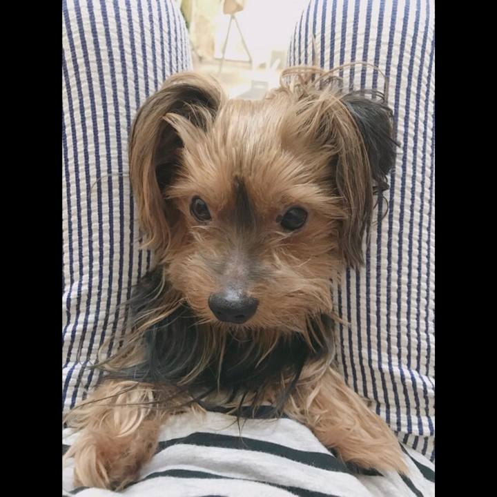 5738c2d3 a05b 4610 9132 dd9d582eb36e 1533513054455