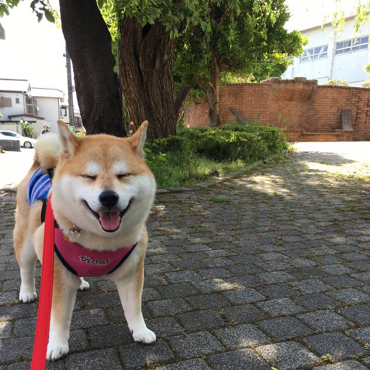 573915e0 00b0 40b9 95ca 3df13d0f2bab 1556843782299