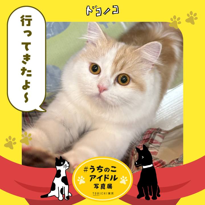 57392ac6 dbb4 4ee7 886a 52591b5a3dc2 1761475465628