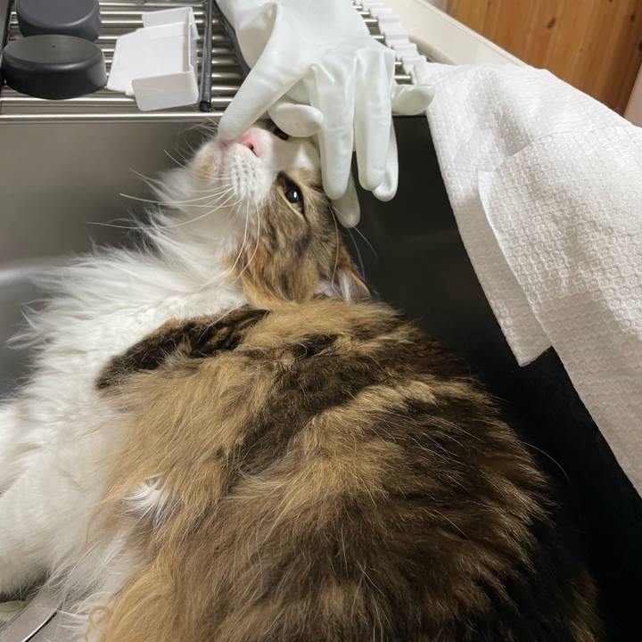 57392b48 2480 4390 8c9b 781bb3e7f4c3 1652903372062