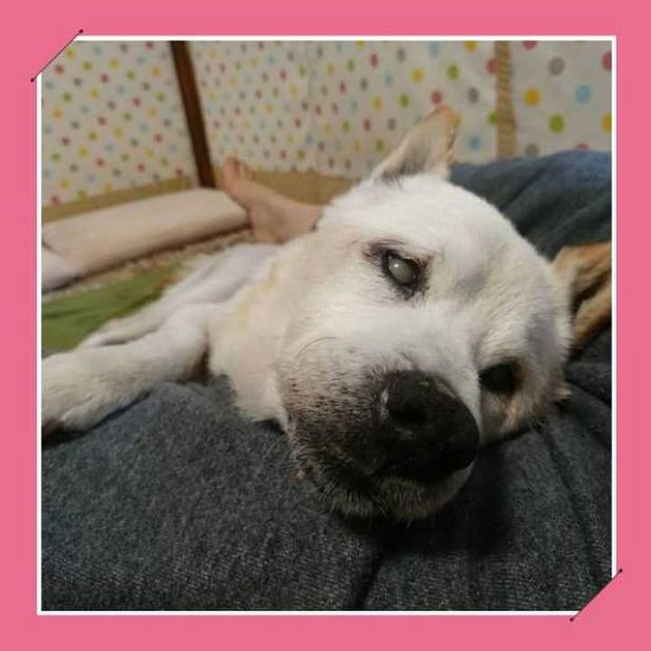 57393c9e 6fcd 4f3b a78a ed5e2edfa0f8 1574082270032