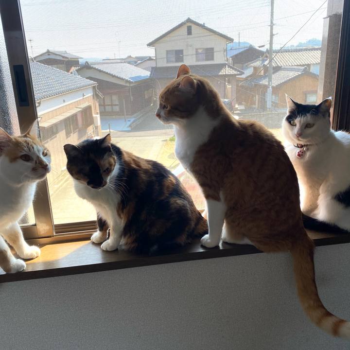 5739465f 3760 4880 8456 a1207e87d0aa 1645778594810