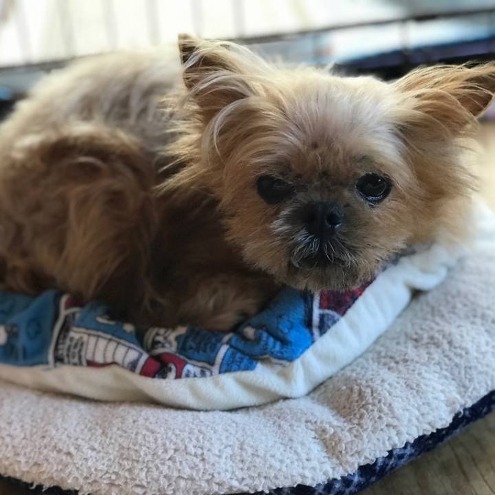 573995a9 35b2 4bce 877b 6aa1705c0f58 1565419412034