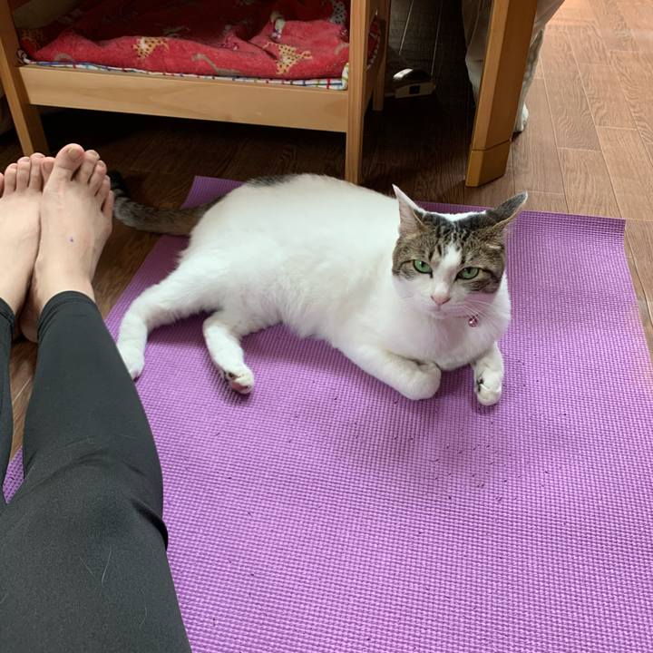 573996f9 8e22 4baa bbf7 3023be1bb961 1590891478686