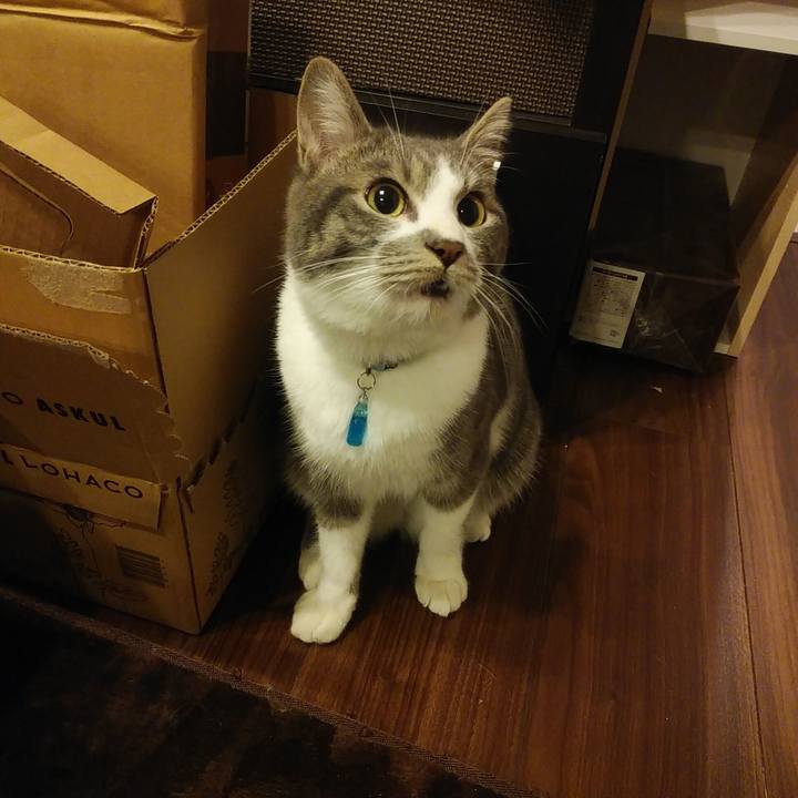 5739e77f f393 4c6f 9b81 a92f11b9c655 1579097639078