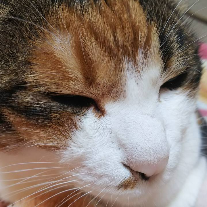 573a0ed5 792b 44f9 8904 b44dad264369 1542411409230