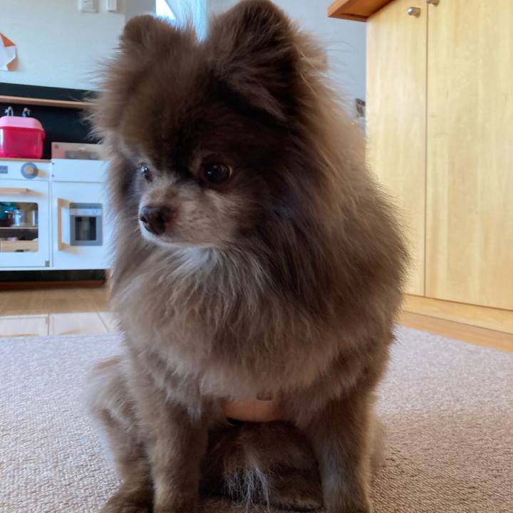 573a3df4 9e14 4185 90d5 74db236018f3 1680988145594