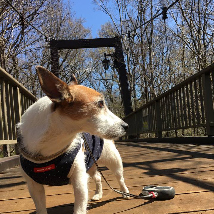 573a4a6d c49c 448f bdb0 4eaff3e233b7 1615764427256