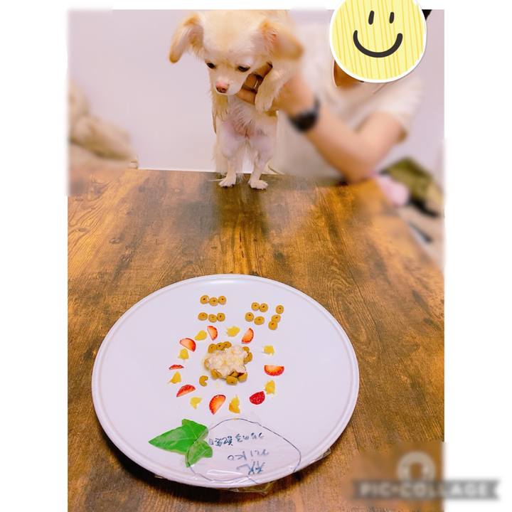 573a54e2 a85c 4848 8116 3227a150bc75 1620107726923