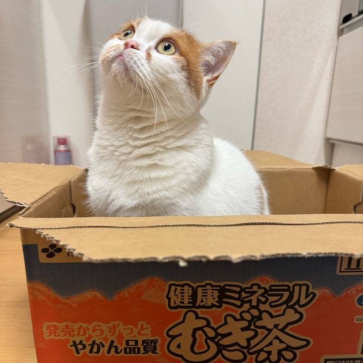 573a998d 96bd 4e57 b9e9 1f76bf9affee 1761986482550