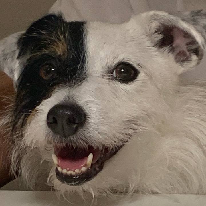 573a9db4 05cd 46be b899 c9efad5e8db2 1621859647896