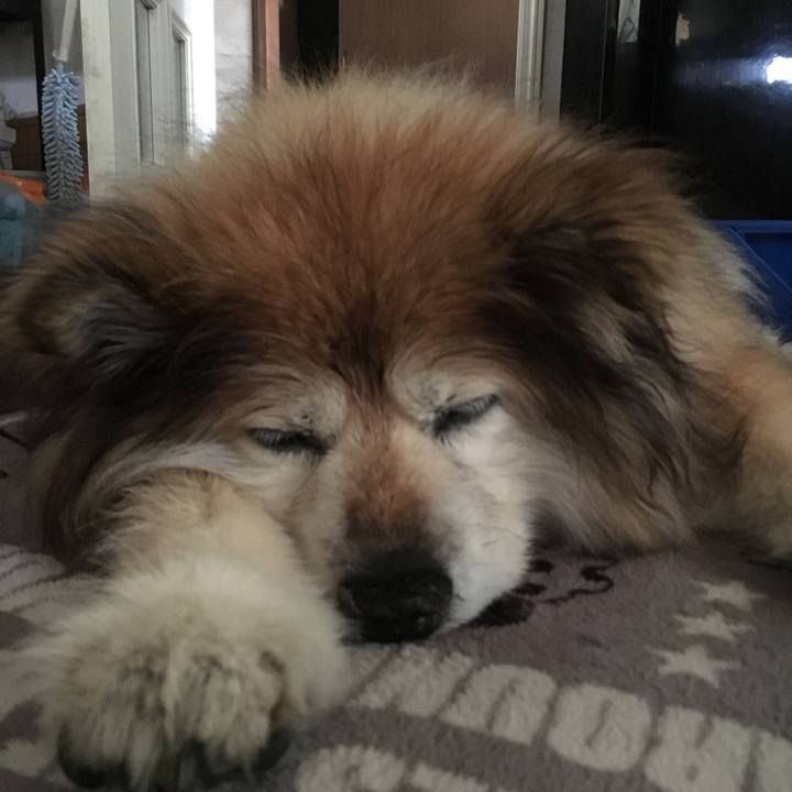 573ab8f5 b2b8 4608 834e d6b0eb278b20 1599067479356