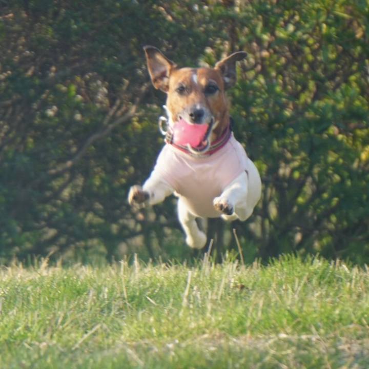 573adf9a a38f 4db6 ba18 b66e38a7063b 1586216031622