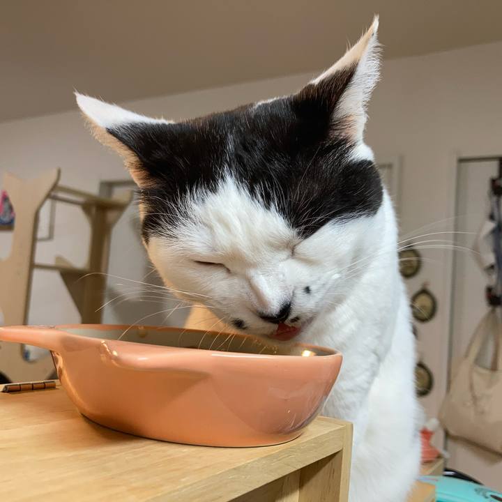 573ae072 461d 41c5 a6ec 0342b28918ec 1774904433828