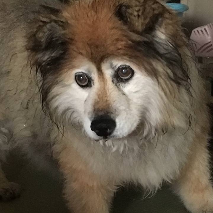 573ae97e aa7a 4442 9e45 7b3358e43042 1589324924594