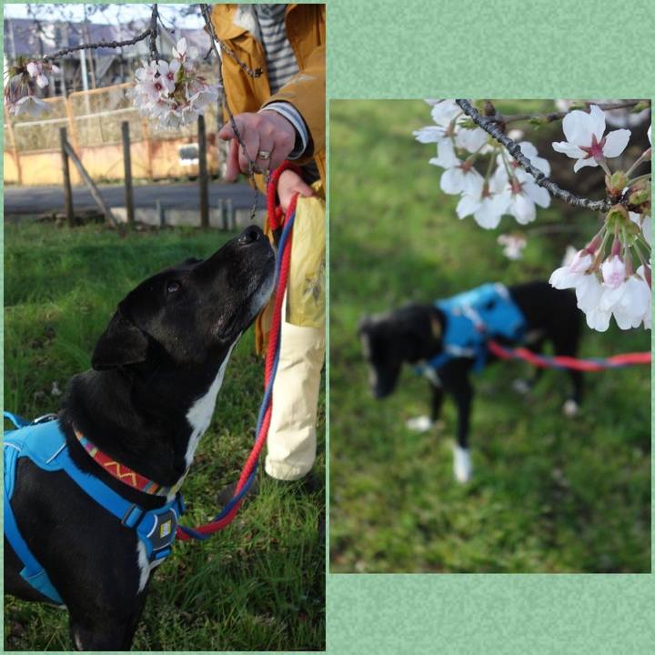 573aeb17 6542 4d6c bb1b 68f7a6d42052 1616808083684