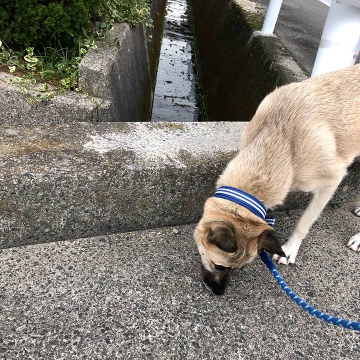 573aebf0 21a2 4b59 bab5 c868766e8c83 1539173864017