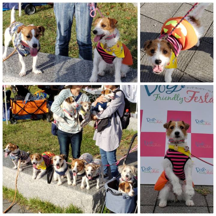 573afeb9 bbf2 4346 8907 c4cbcec0b45b 1572090023247